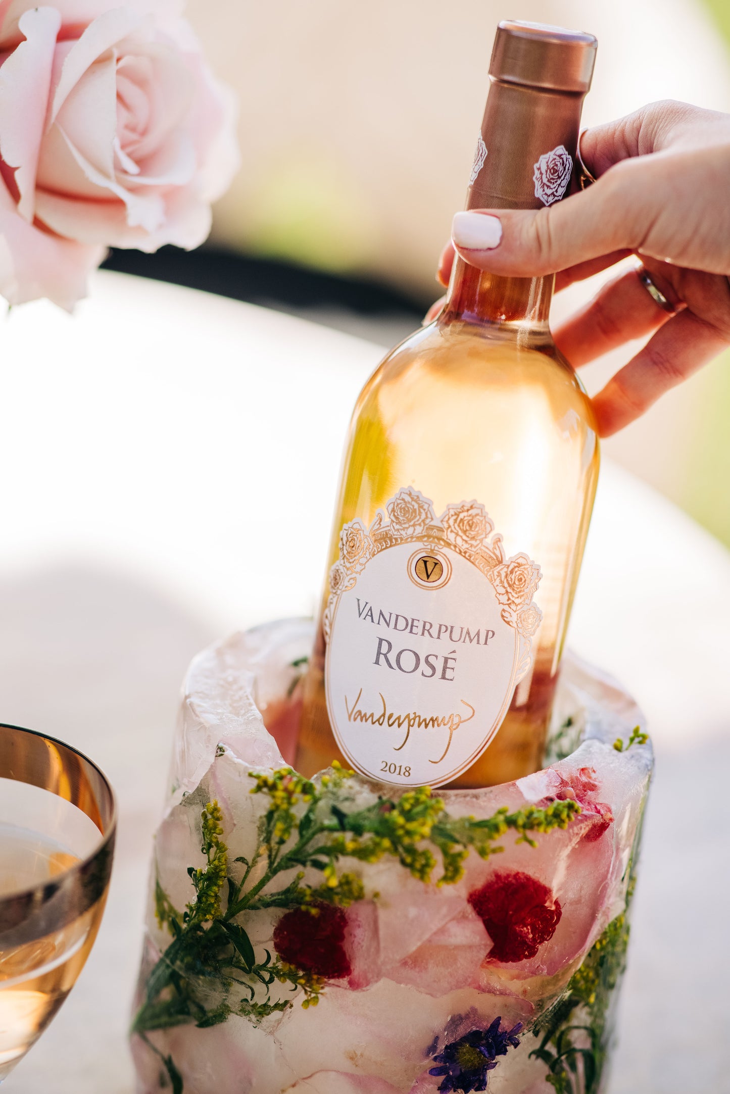 VANDERPUMP ROSÉ MASTER